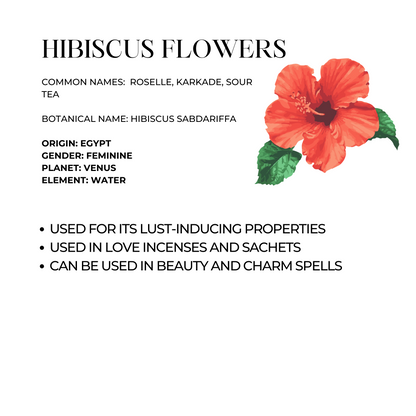 Hibiscus Flowers