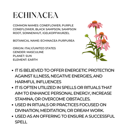 Echinacea Herb