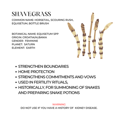 Shavegrass Herb