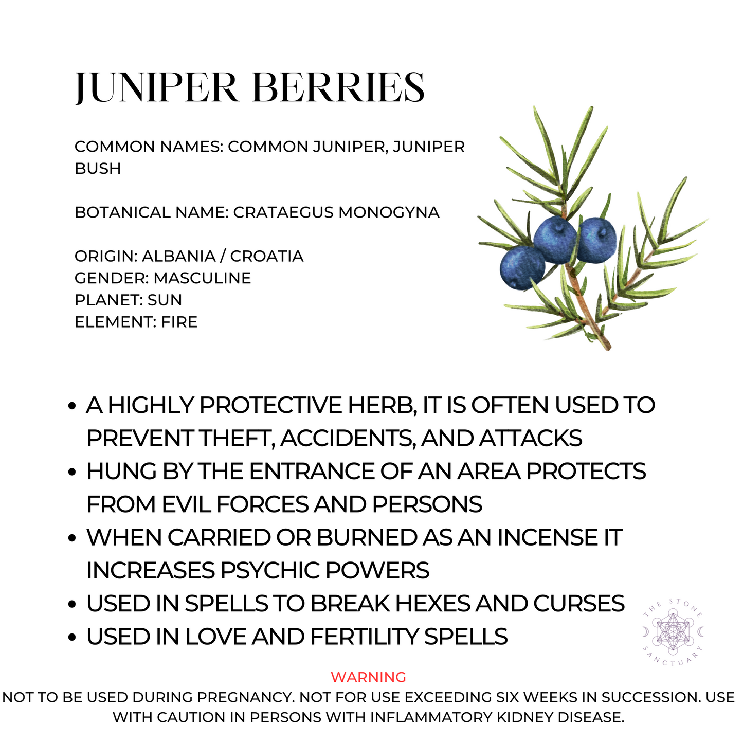 Juniper Berries