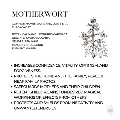 Motherwort Herb