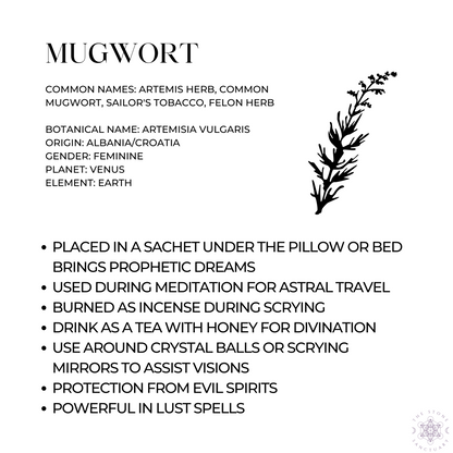 Mugwort Herb