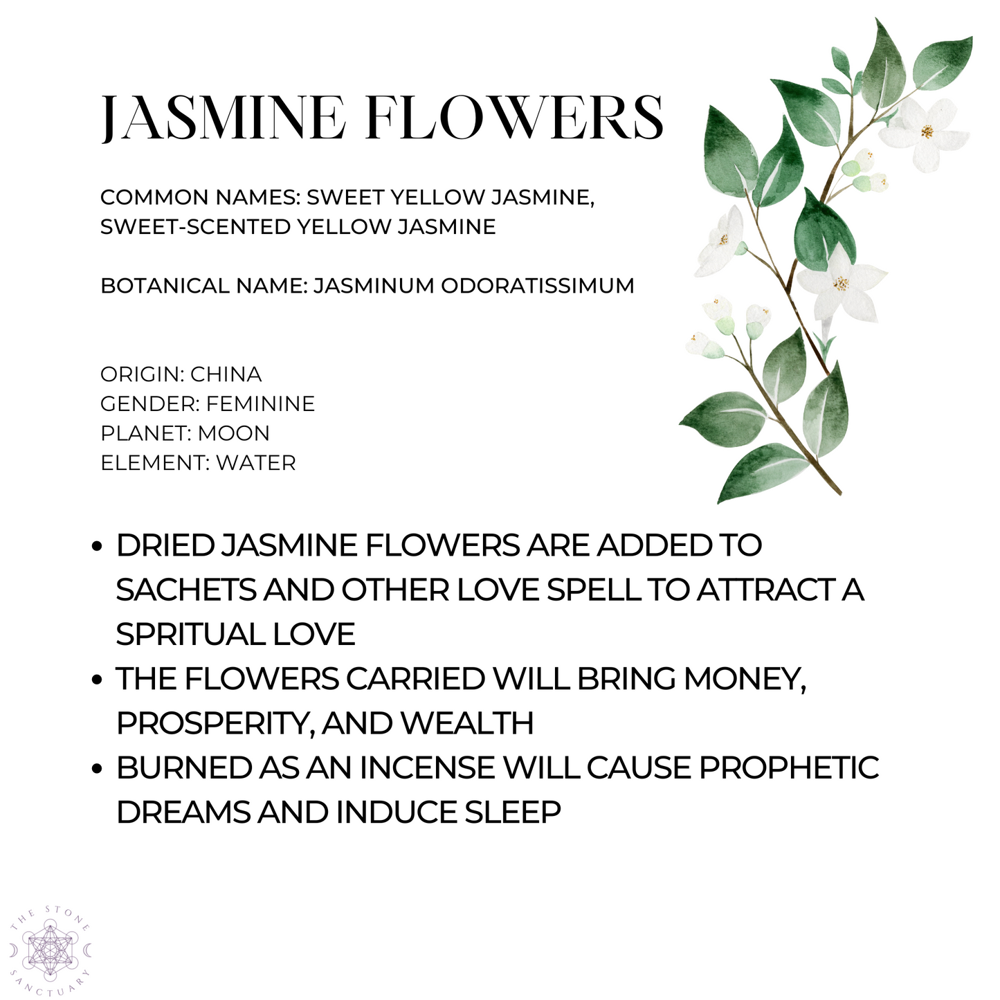 Jasmine Flowers