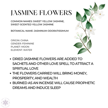 Jasmine Flowers