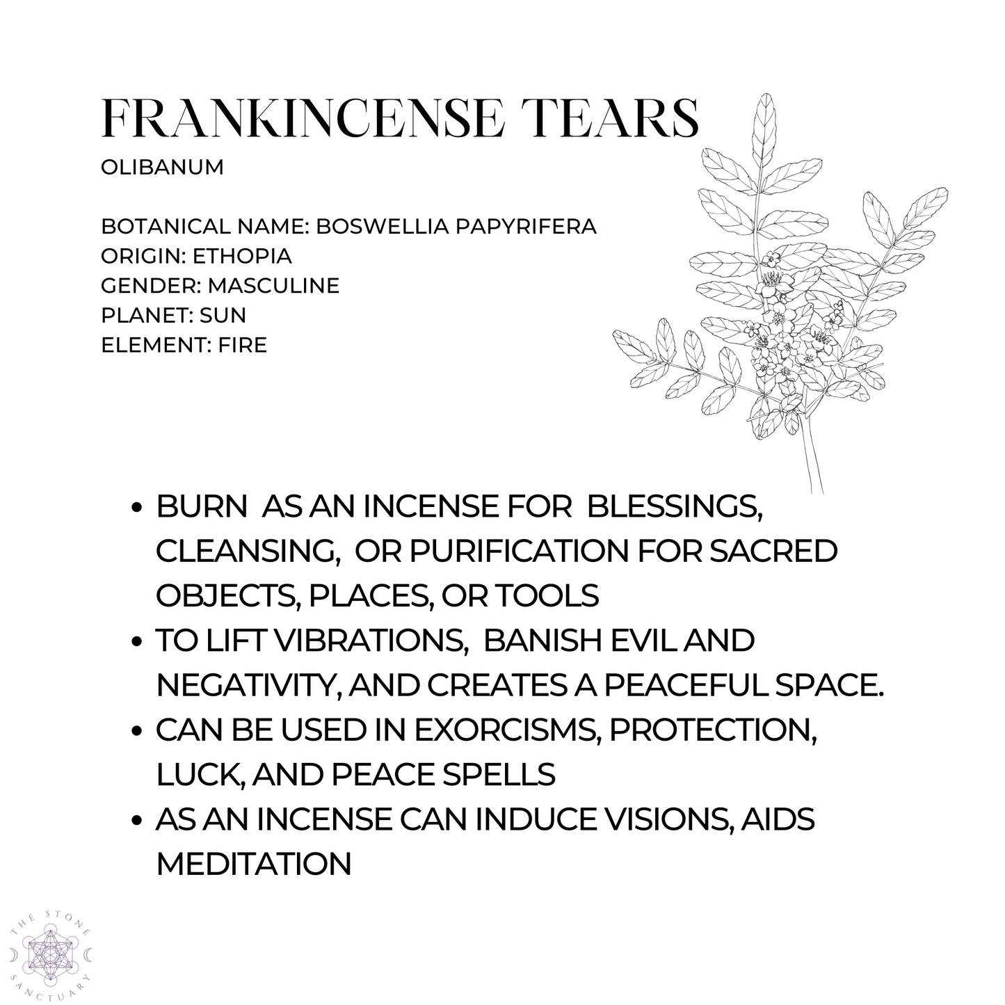 Frankincense Tears