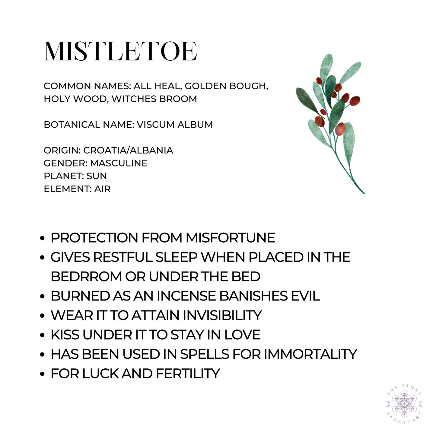 Mistletoe Herb