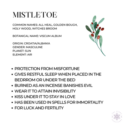 Mistletoe Herb