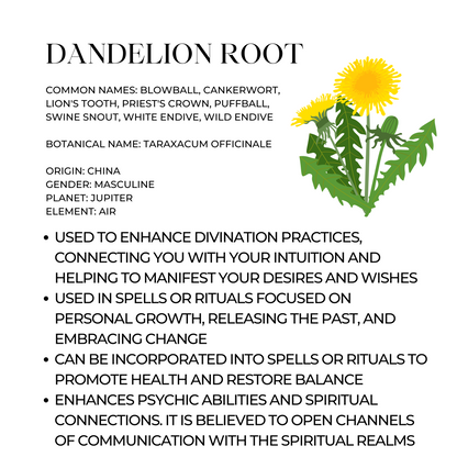 Dandelion Root