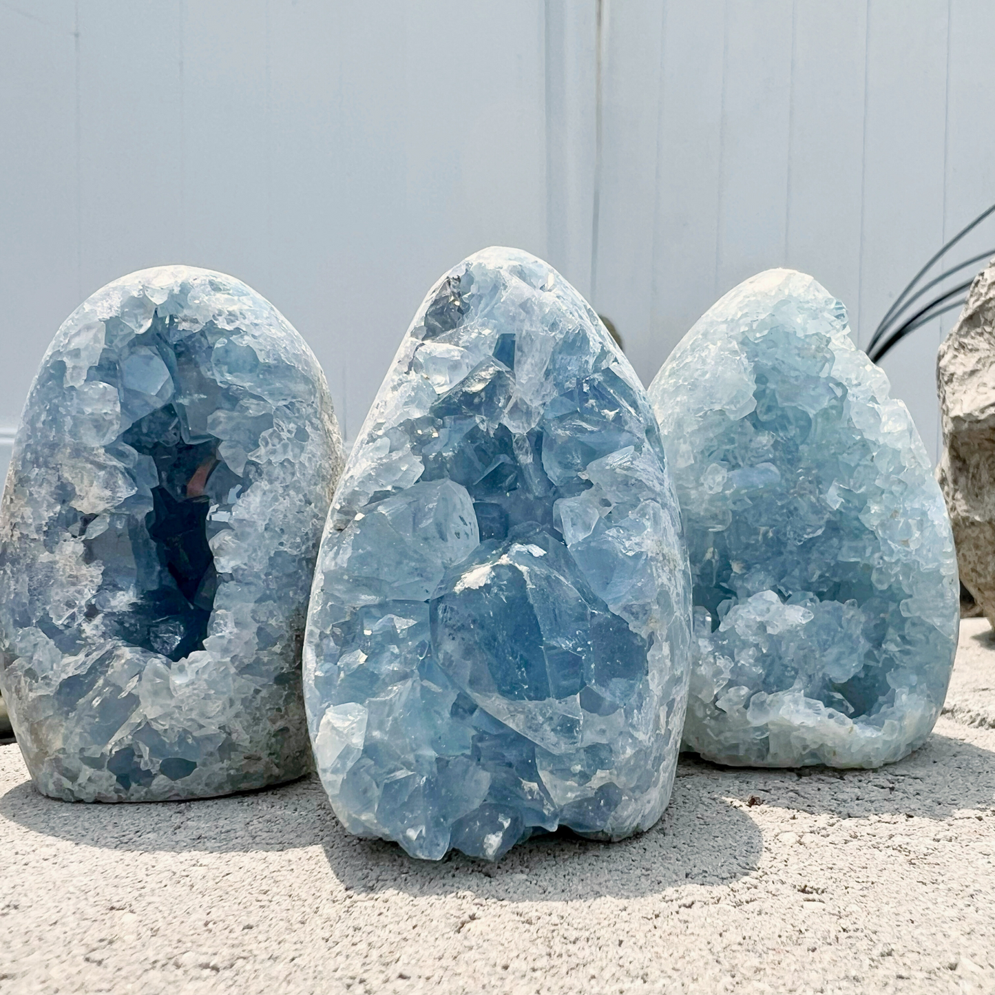 Standing Celestite Cluster Geode Eggs