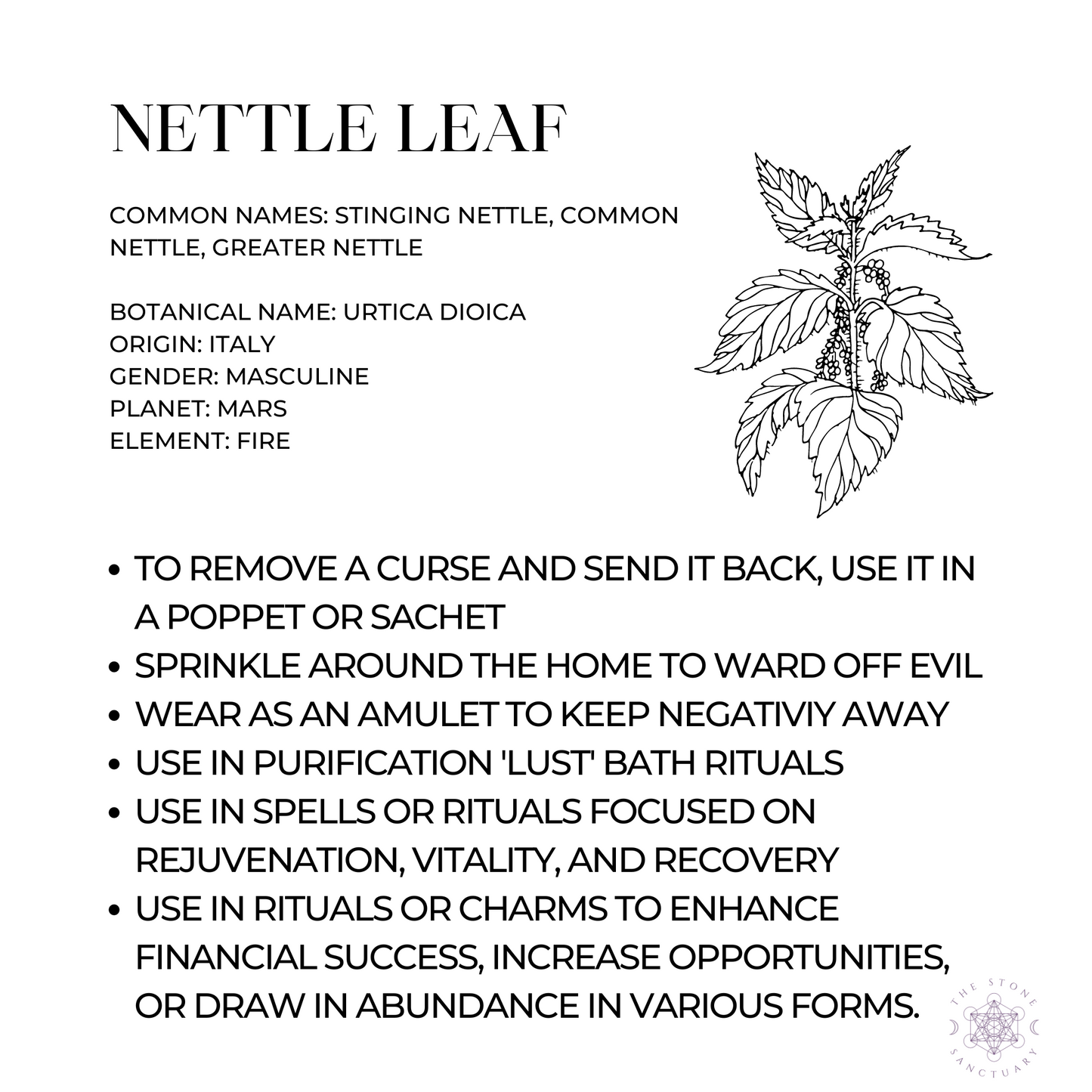 Nettle Leaf