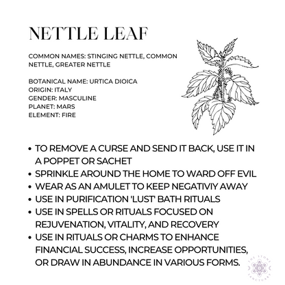 Nettle Leaf