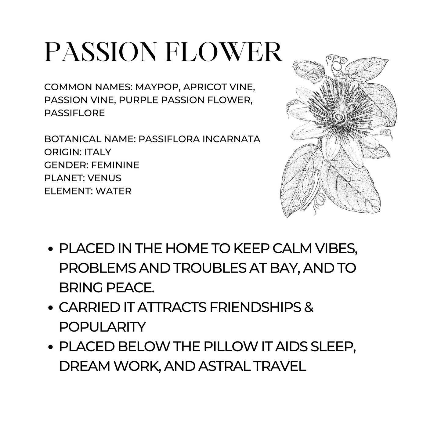 Passion Flower