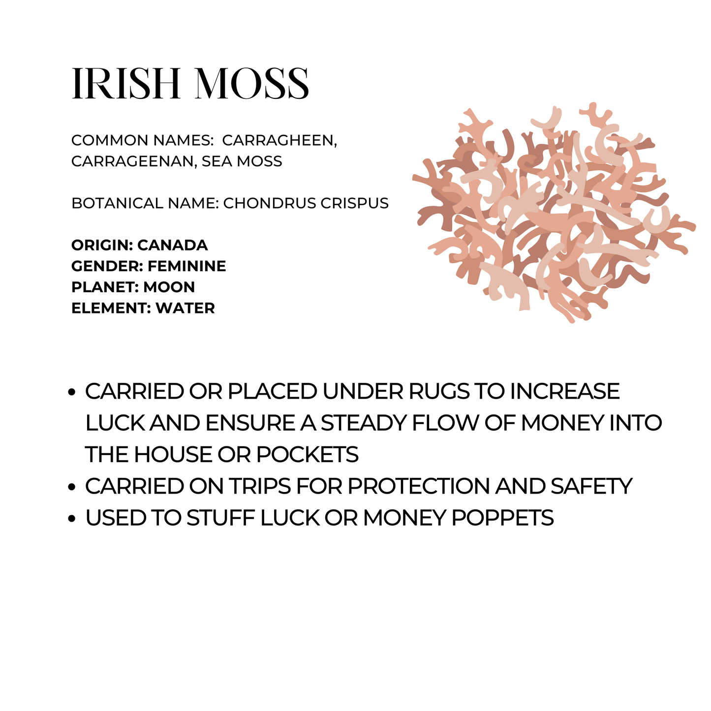 Irish Moss