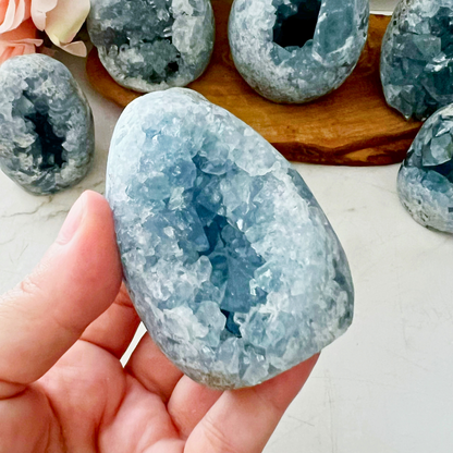 Standing Celestite Cluster Geode Eggs