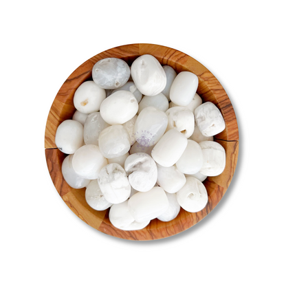 A wooden bowl filled with smooth, white, rounded stones is centered on a white background. The White Agate Tumbled Stones vary slightly in size and shape, but all have a polished appearance, promoting a sense of balance and enhanced mental functions.