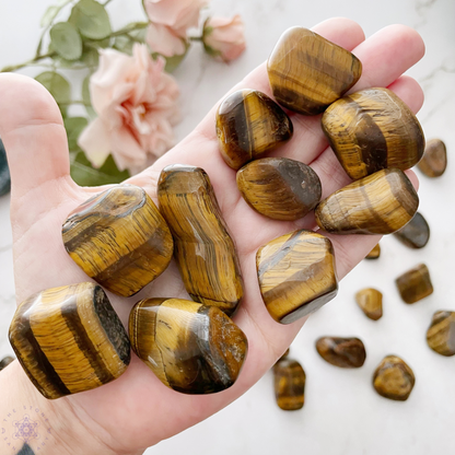 Tigers Eye Tumbled Stones