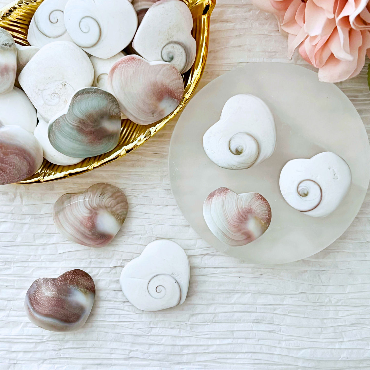 A collection of heart-shaped seashells, some adorned with spiral designs, is arranged on a crinkled white background. A gold dish holds several 1" Shiva Shell Hearts, renowned for their protective properties and ability to balance emotions. Three shells rest on a circular frosted surface with pink flowers partially visible in the upper right corner.