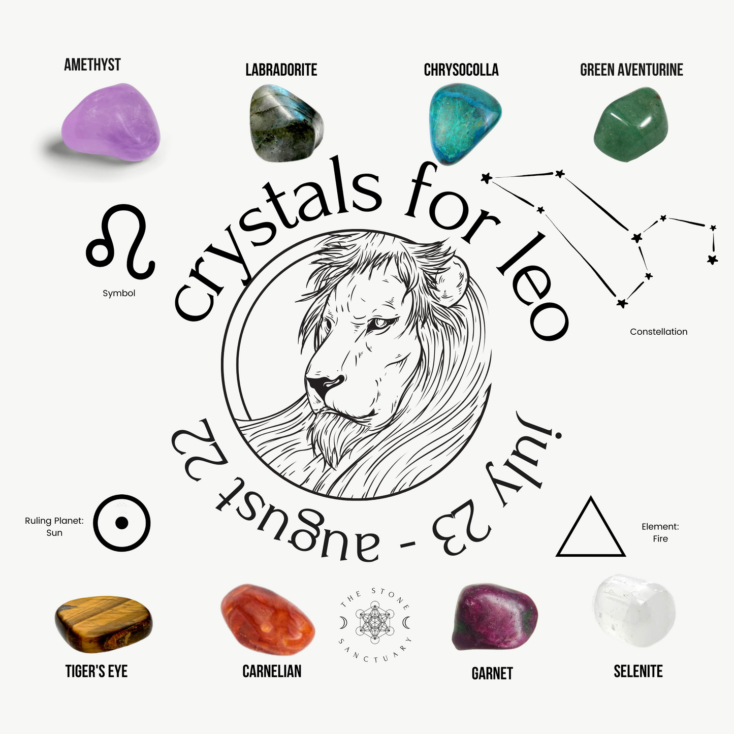 An illustration for Leo zodiac sign featuring a lion's head in the center. Surrounding it are various 7 Chakra Crystals For Leo: Amethyst, Labradorite, Chrysocolla, Green Aventurine, Tiger's Eye, Carnelian, Garnet, and Selenite. Also shown are the Leo constellation, symbol, ruling planet (Sun), and element (Fire).