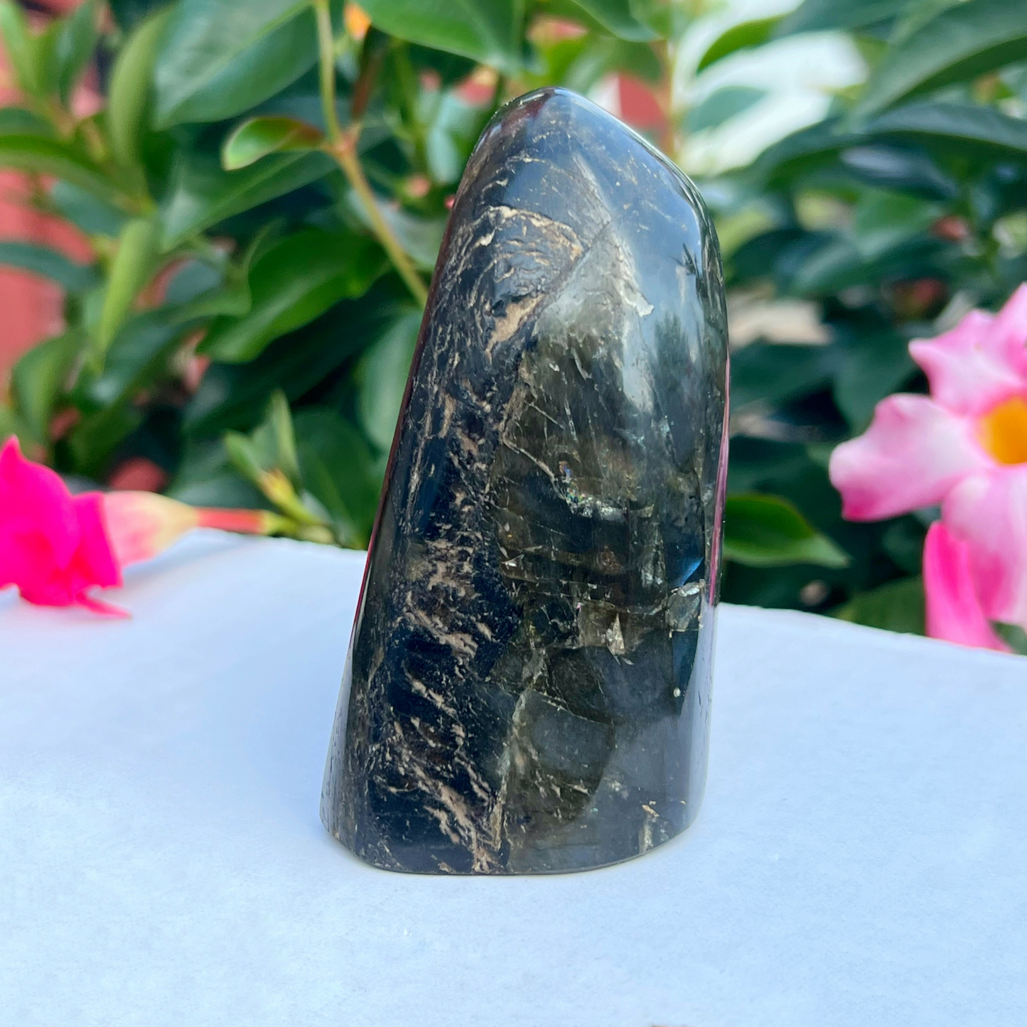 3.5" Labradorite Free Shape