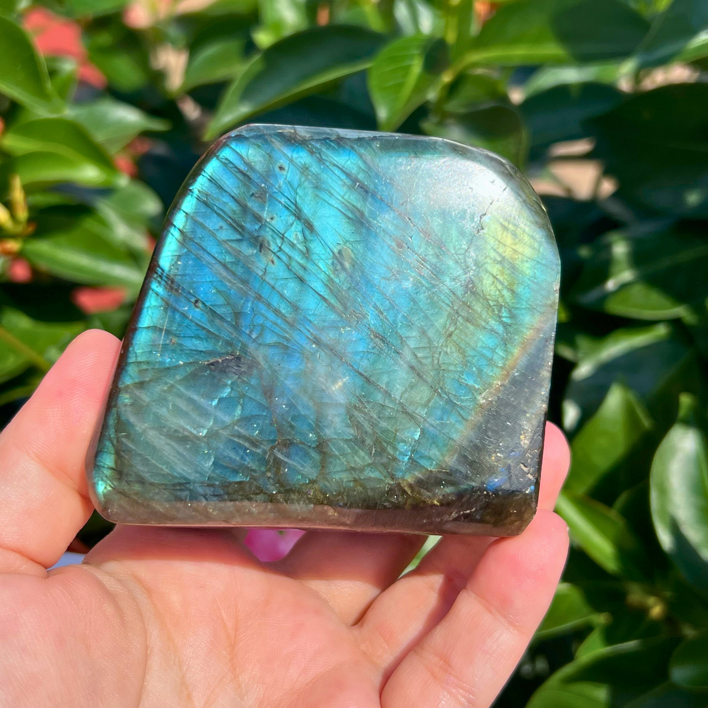 2.75" Labradorite Free Shape