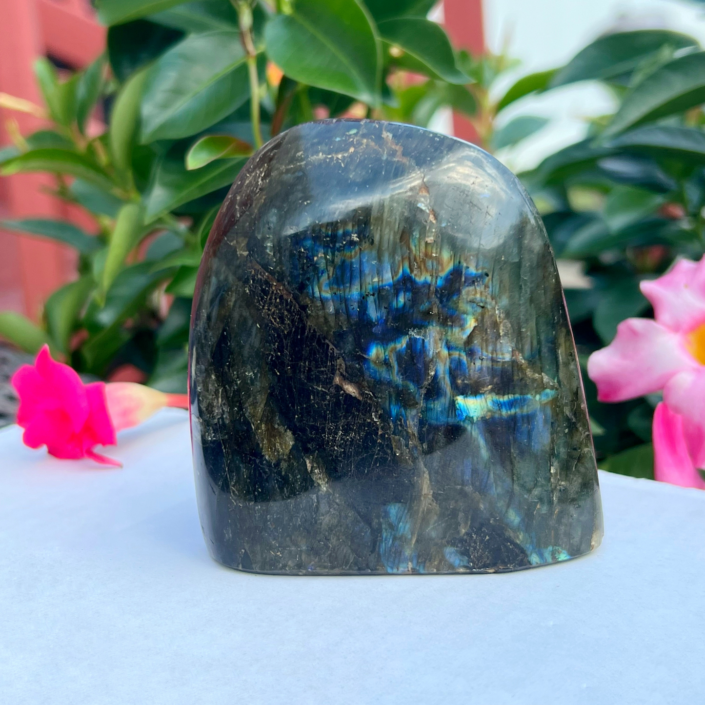 3.5" Labradorite Free Shape