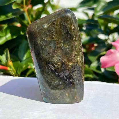 2.75" Labradorite Free Shape