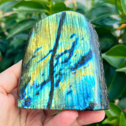 3.5" Labradorite Free Shape