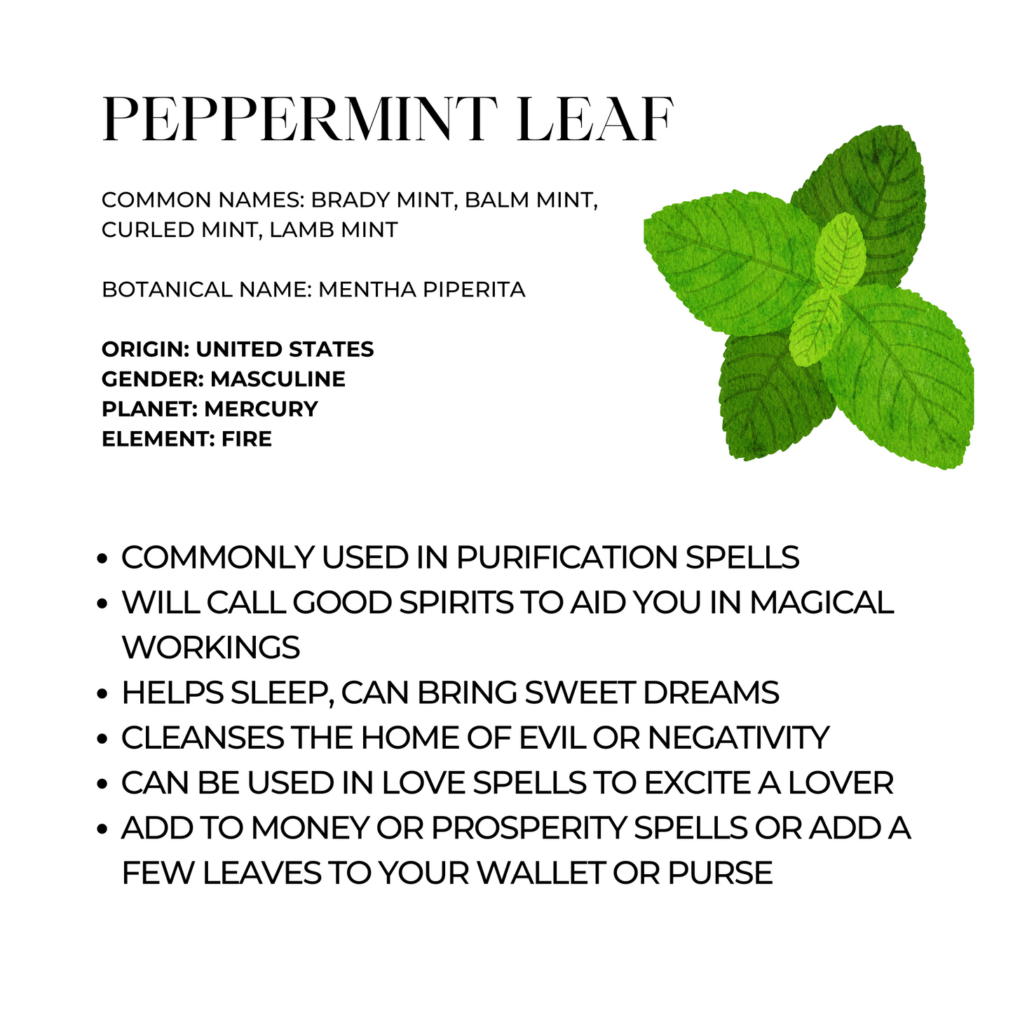 Peppermint Leaf