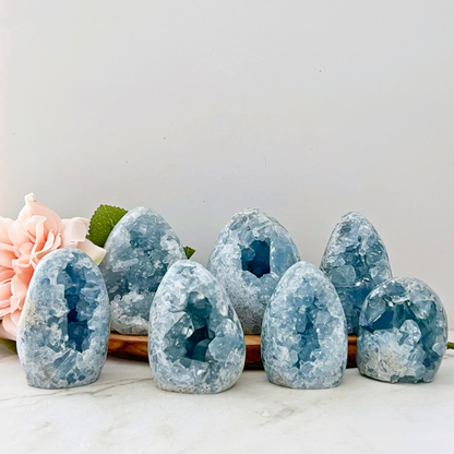 Seven Standing Celestite Cluster Geode Eggs of varying sizes, sourced from Madagascar, are arranged in a semicircle on a marble surface. To the side, there is a pink carnation flower with green leaves. The geodes display clusters of sparkling blue crystals inside them, evoking the angelic realm.