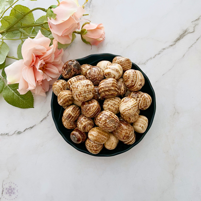 Aragonite Tumbled Stones