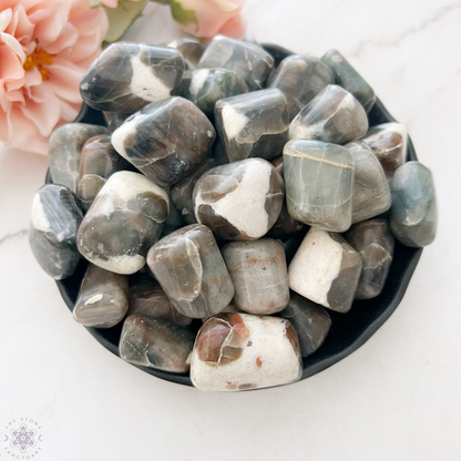 Polarity Moonstone Polished Tumbled Stones