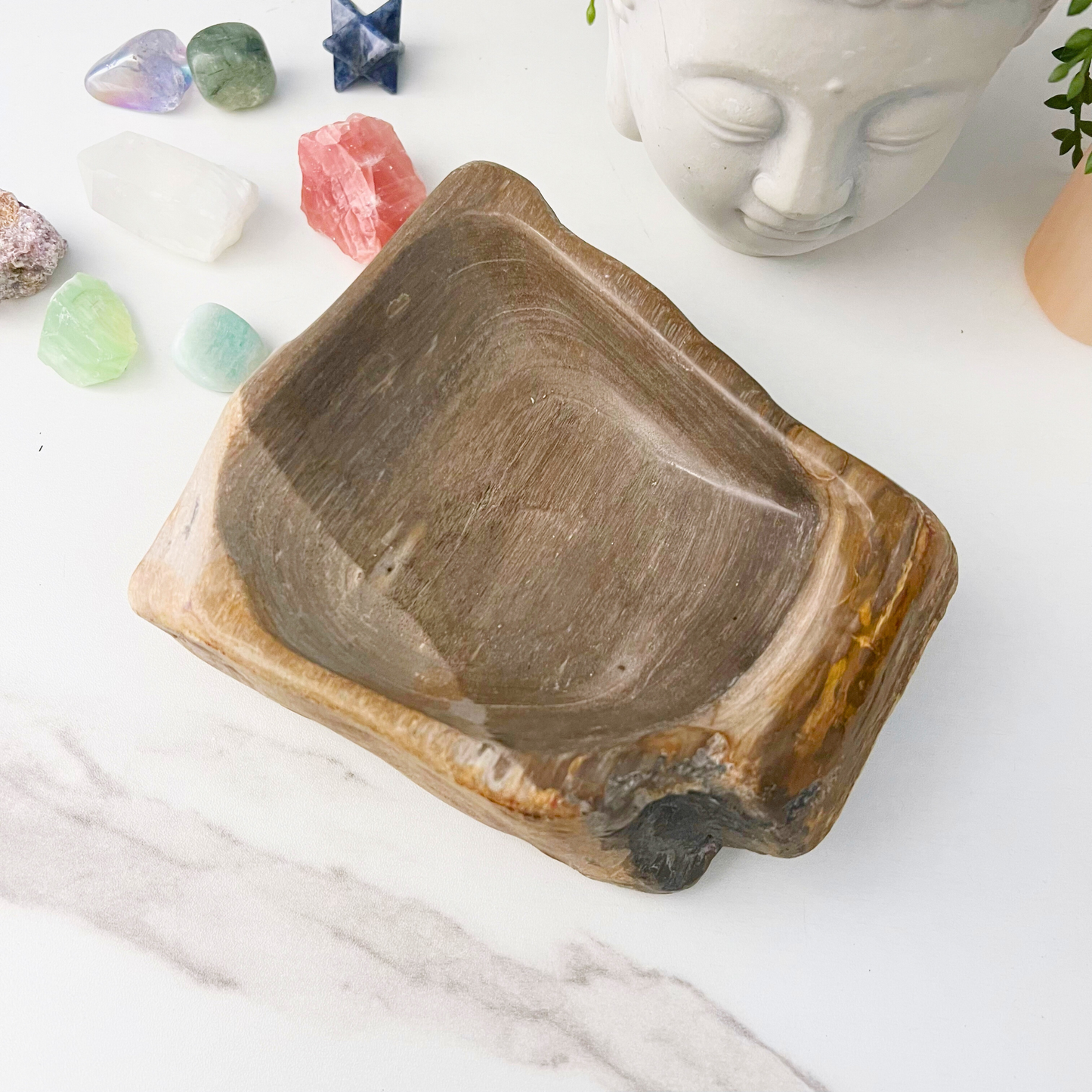 6.5" Petrified Wood Bowl