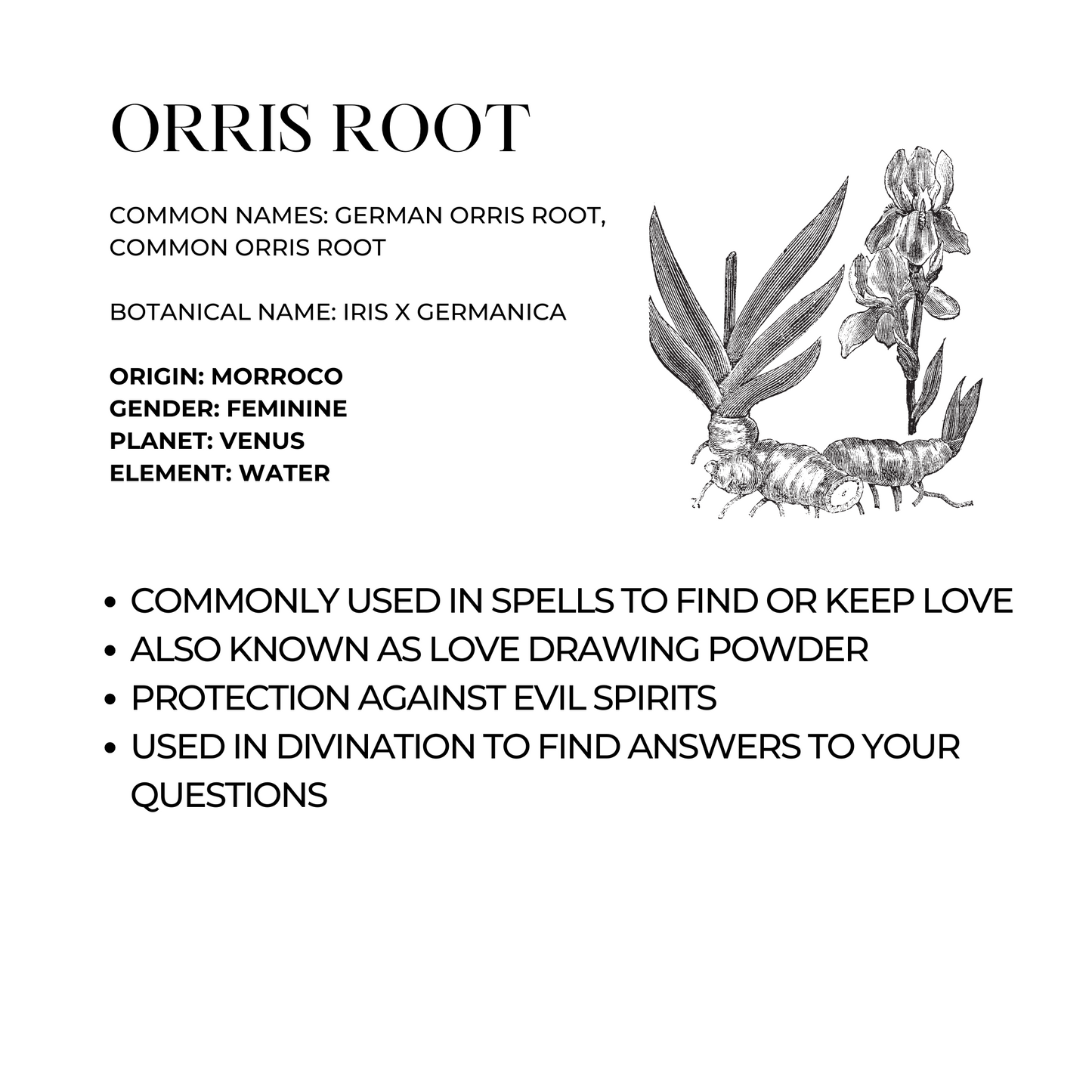 Orris Root