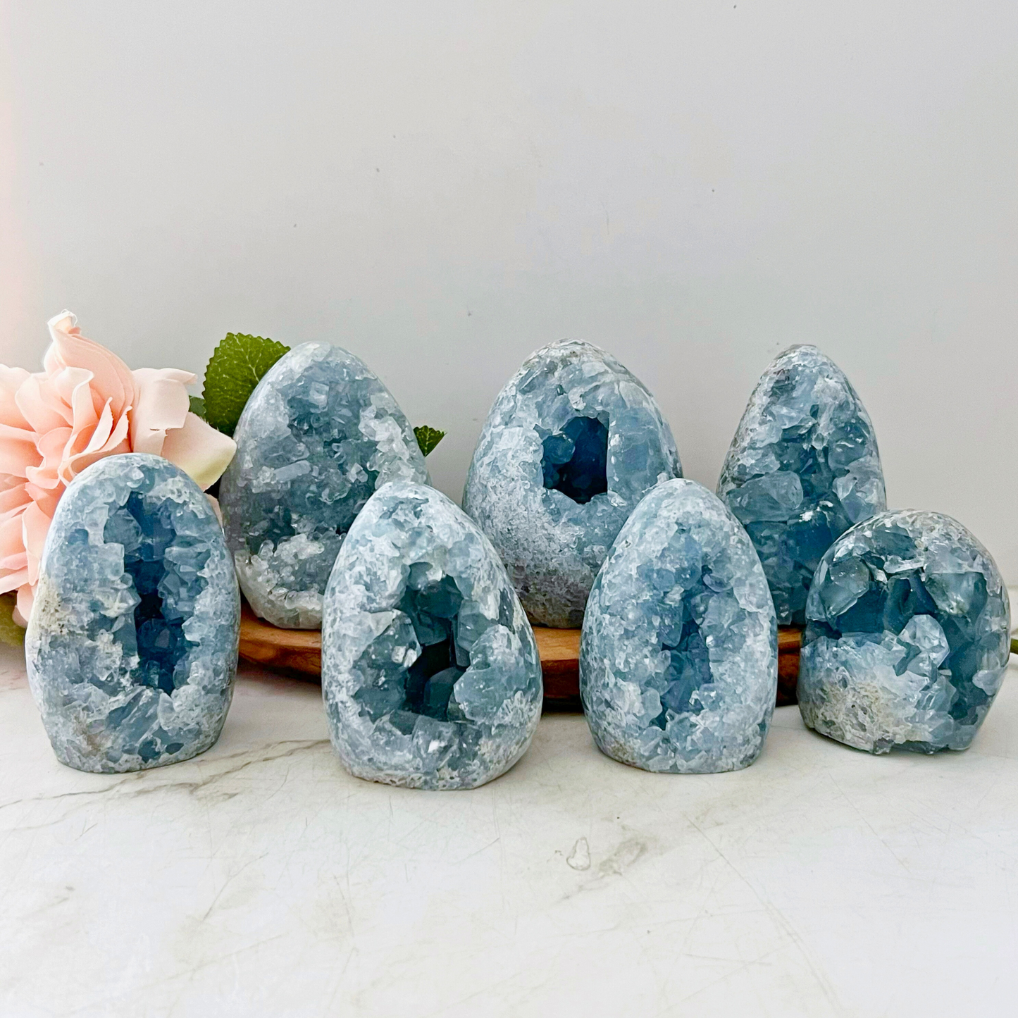 Standing Celestite Cluster Geode Eggs