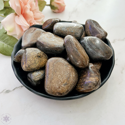 Bronzite Tumbled Stones