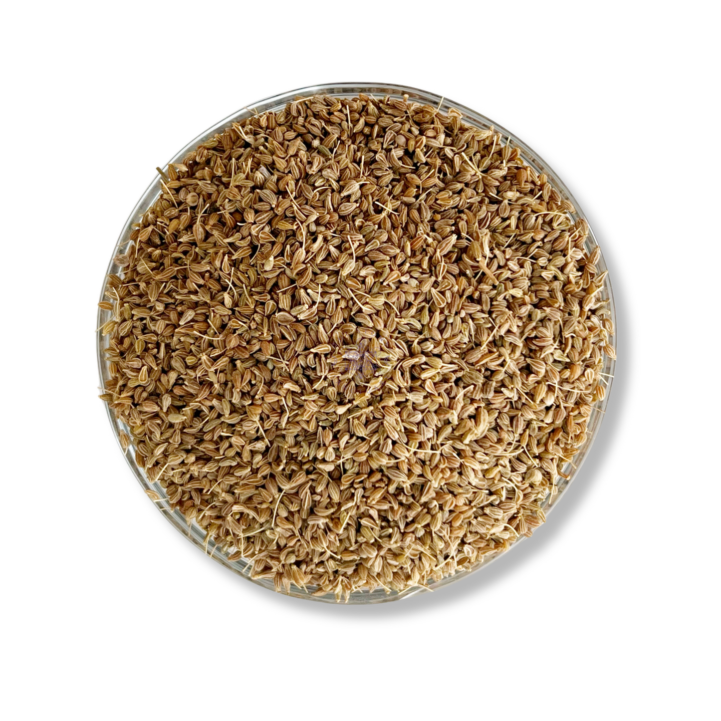 Anise Seed