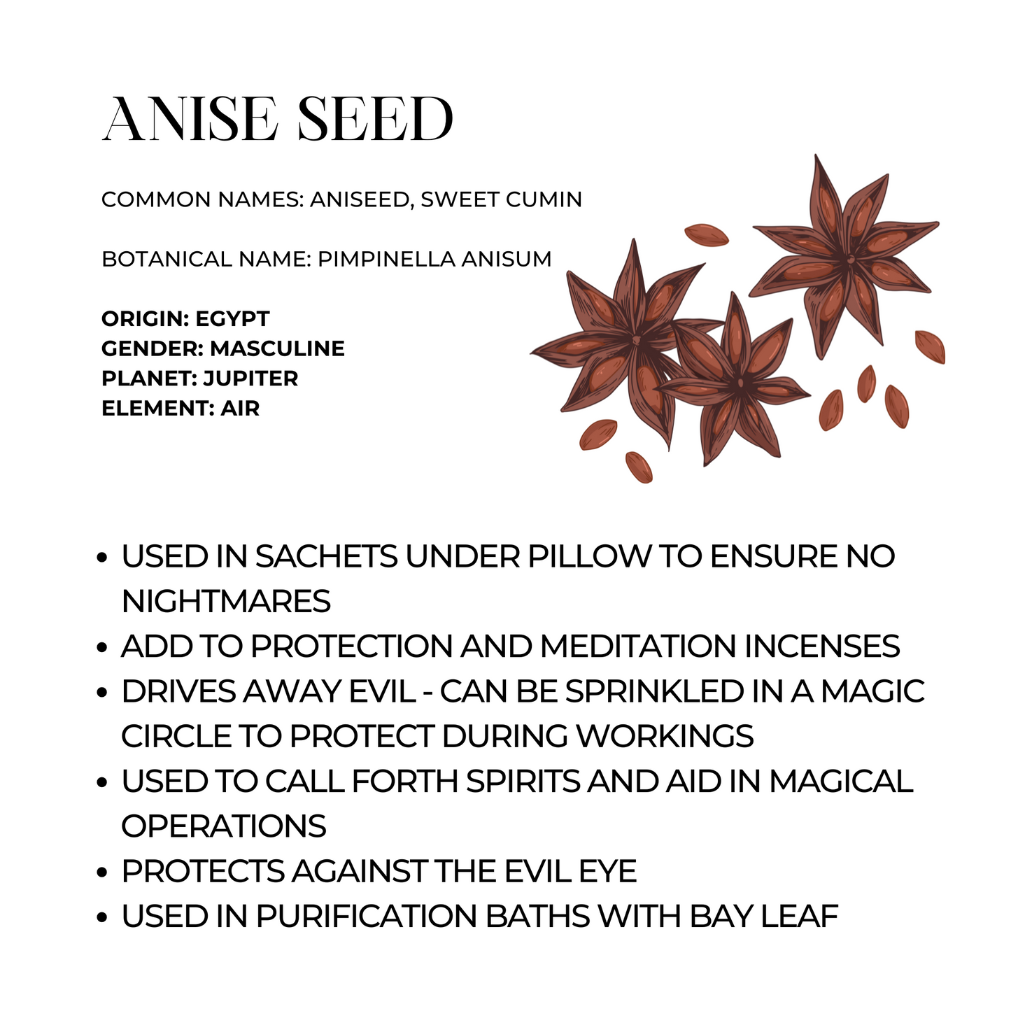 Anise Seed