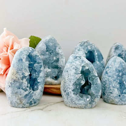 Standing Celestite Cluster Geode Eggs