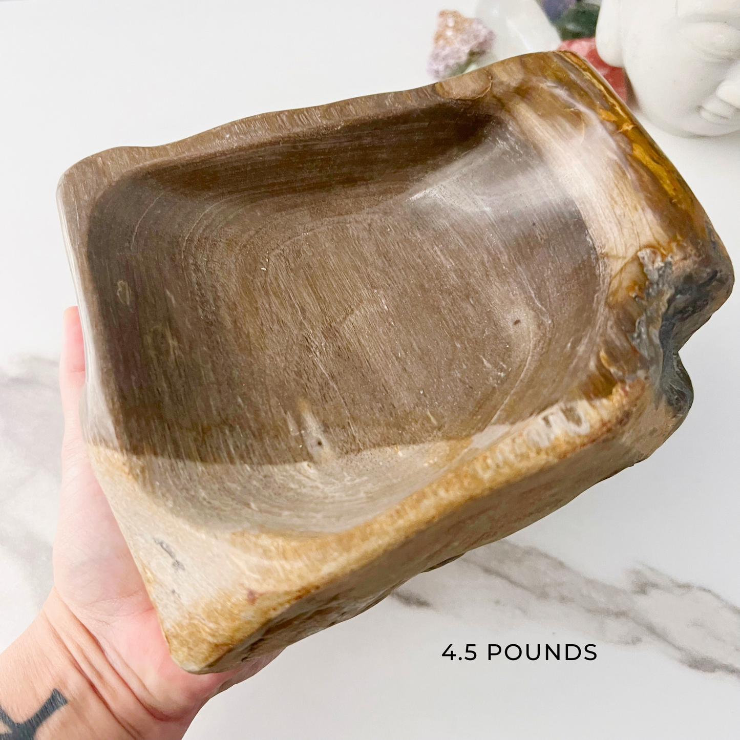 6.5" Petrified Wood Bowl