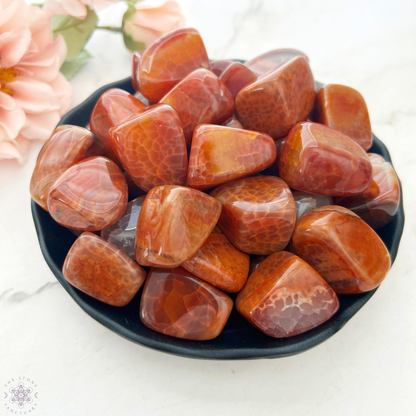 Fire Agate Tumbled Stones