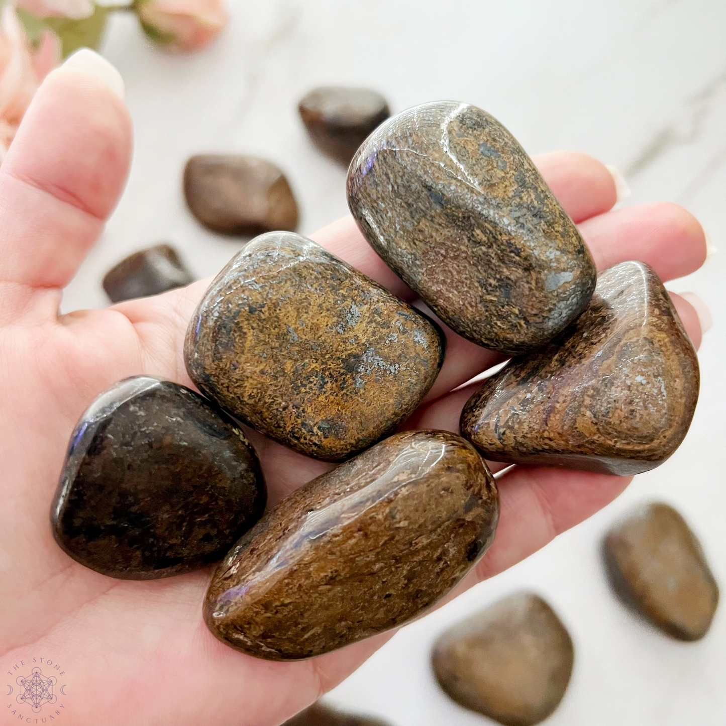 Bronzite Tumbled Stones