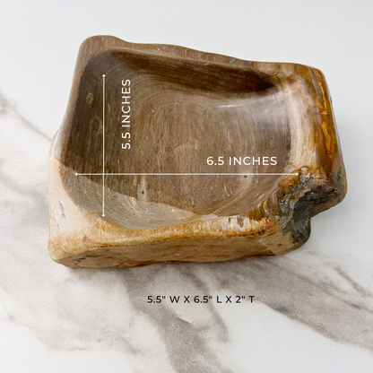 6.5" Petrified Wood Bowl