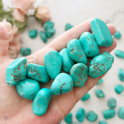 A wooden bowl filled with numerous polished Turquoise Howlite Tumbled Stones. The stones are smooth, varying in size and shape, with some showing marbled patterns of brown veins. Known to aid the throat chakra and reduce anxiety, this collection sits against a plain white background.