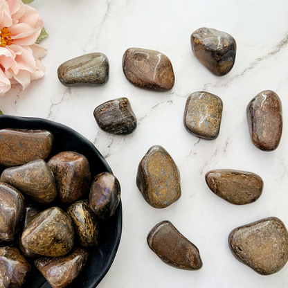 Bronzite Tumbled Stones