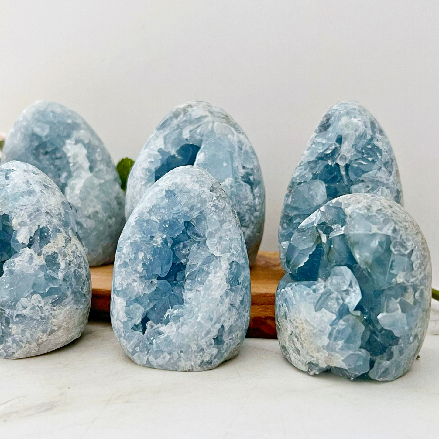 Standing Celestite Cluster Geode Eggs