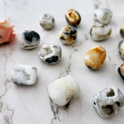 Dendritic Agate Tumbled Stones