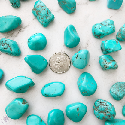 Turquoise Howlite Tumbled Stones