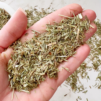 Shavegrass Herb