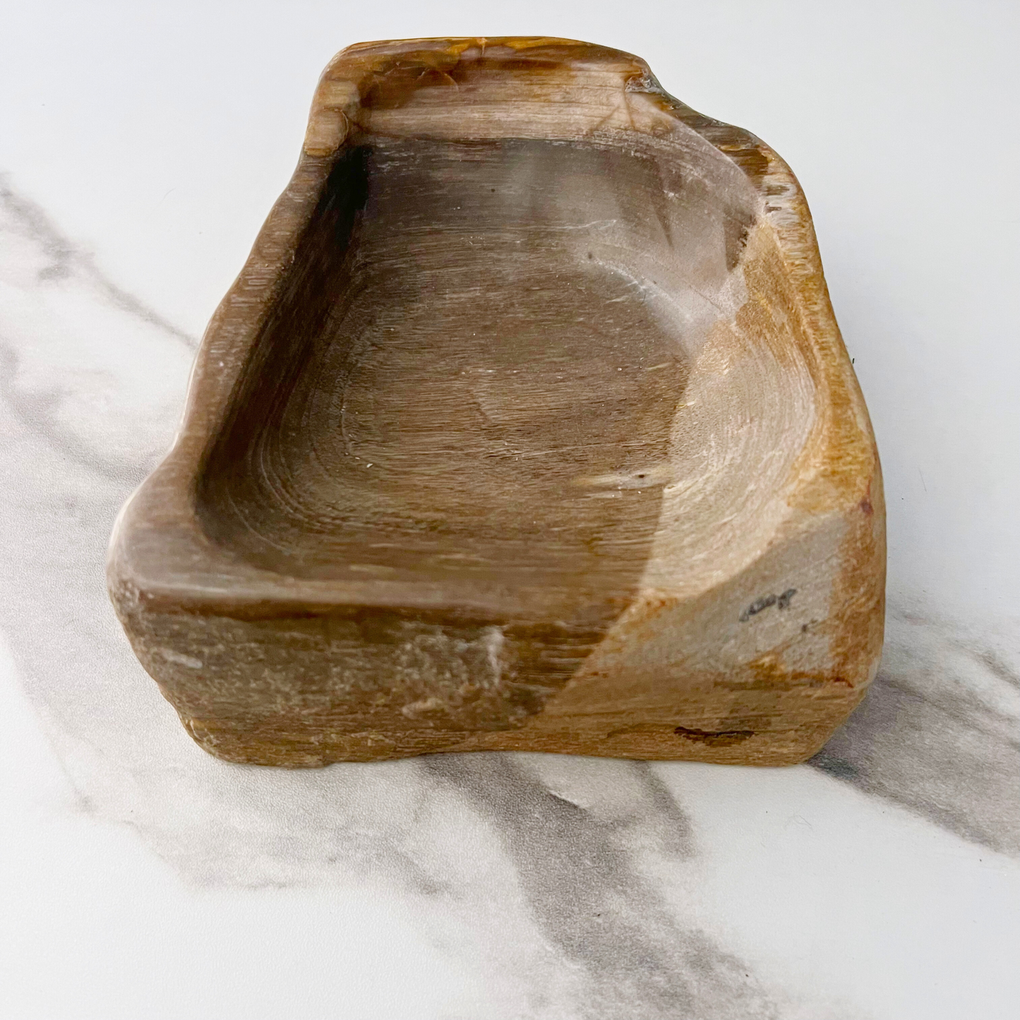 6.5" Petrified Wood Bowl