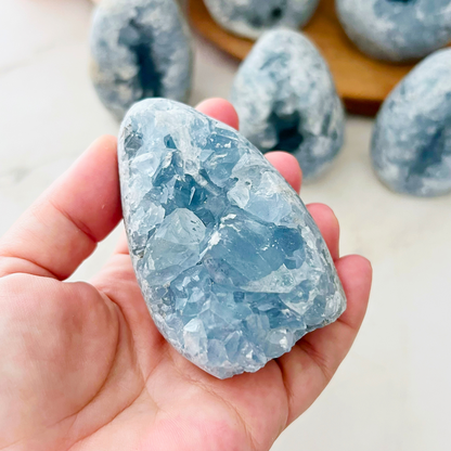 Standing Celestite Cluster Geode Eggs